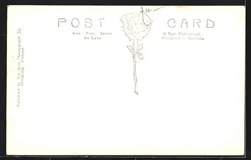 AK Melbourne /Vic., Alexandra Avenue