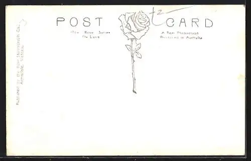 AK Melbourne, Panorama Looking South