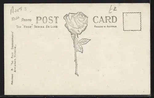 AK Melbourne /Vic., The Town Hall, Swanston Street