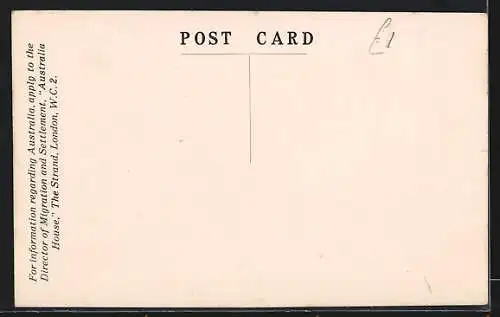 AK Adelaide /S. A., North Terrace