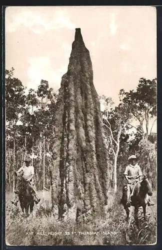 AK Thursday Island, Ant Hill, Height 28 ft