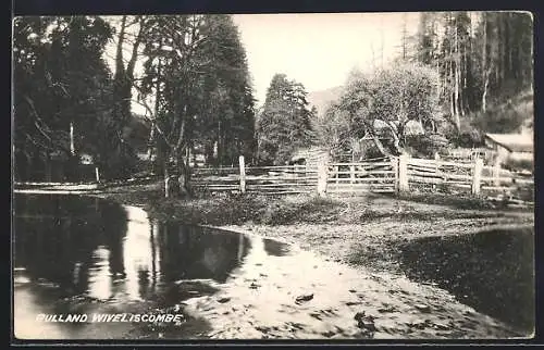 AK Wiveliscombe, Bulland