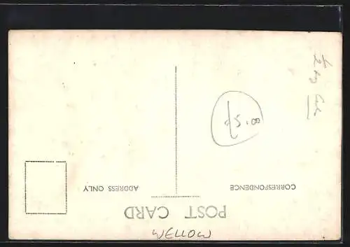 AK Wellow, General View