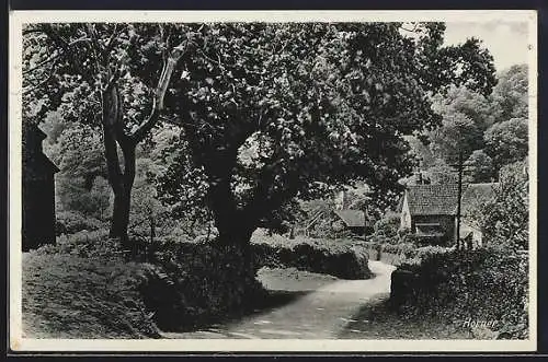 AK Horner, Strasse mit Ortseingang