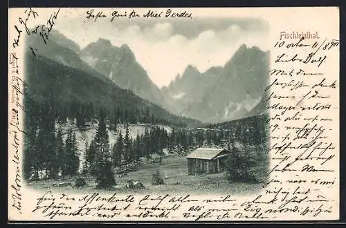 AK Sexten, Fischleinthal, Blick in das Tal mit einsamer Hütte
