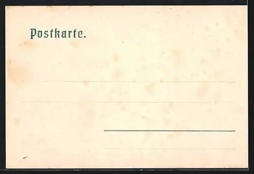 AK Innichen, Totale mit Gebirgswand