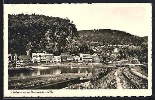 AK Bodenbach a /Elbe, Schäferwand