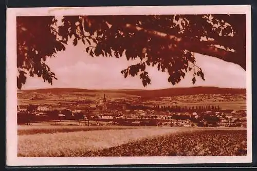 AK Wischau / Vyskov, Celkový pohled