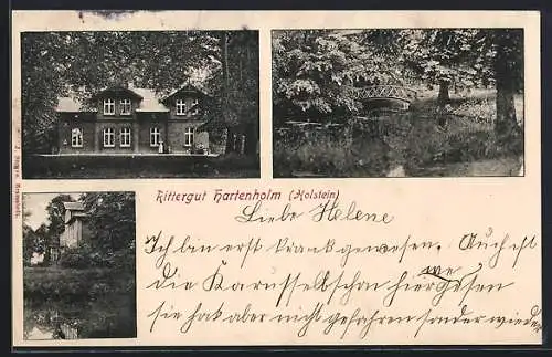 AK Hartenholm /Holstein, Rittergut Hartenholm, Aussenansicht und Partie im Park