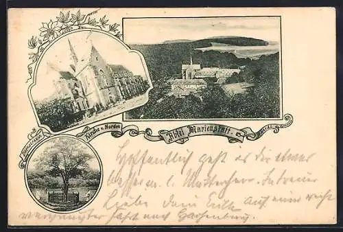 AK Marienstatt, Abtei Marienstatt, Totalansicht, Kirche von Norden, Dornstrauch