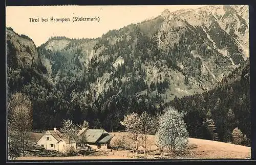 AK Neuberg an der Mürz, Tirol bei Krampen, Partie am Ortsrand