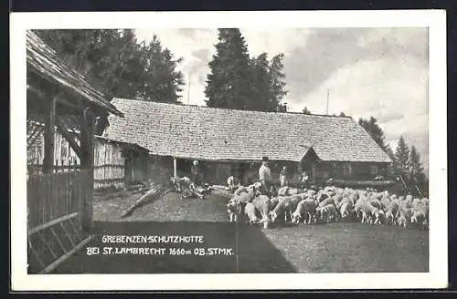 AK St. Lambrecht, Schafherde vor der Grebenzen-Schutzhütte