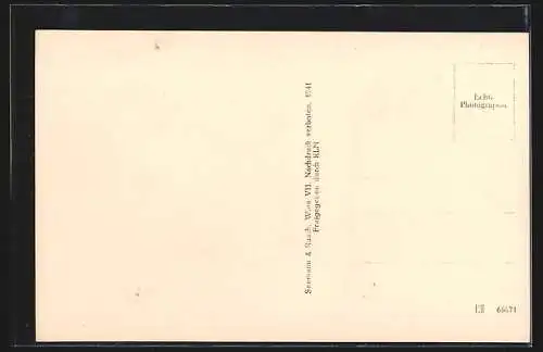 AK Horn /N. D., Totalansicht mit Strassen u. Feldern, Fliegeraufnahme