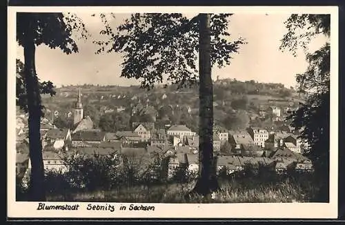 AK Sebnitz /Sachsen, Blick auf die Ortschaft
