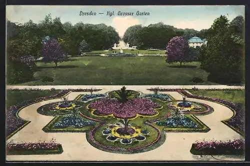 AK Dresden, Kgl. grosser Garten