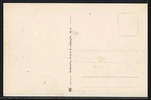 AK Halberstadt, Roland und Rathaus