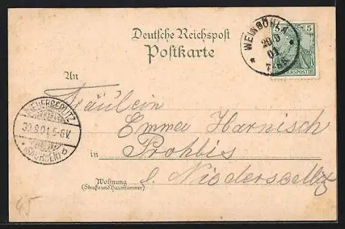 Lithographie Weinböhla, Gasthaus, Saal