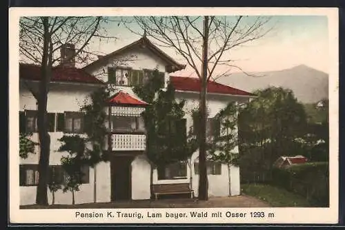 AK Lam /Bayer. Wald, Pension K. Traurig mit Osser
