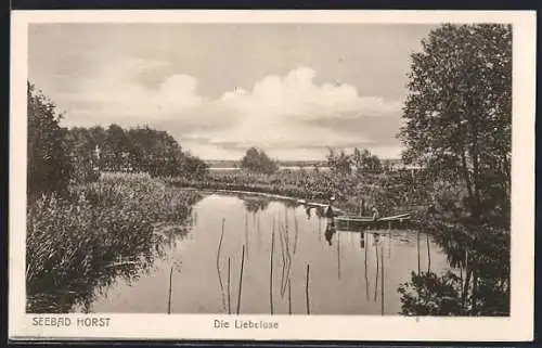 AK Horst, Die Liebelose