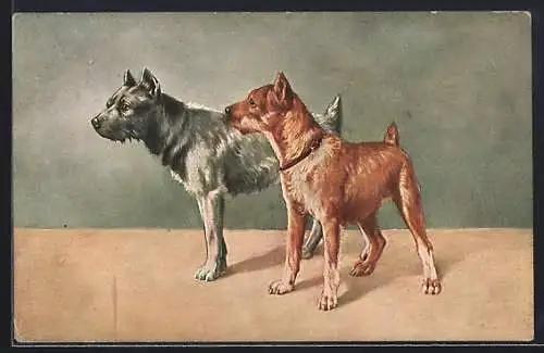 Künstler-AK brauner und grauer Hund stehen nebeneinander