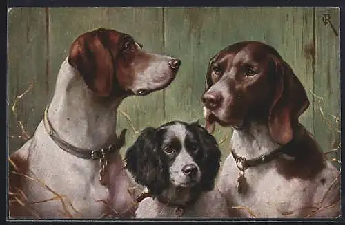 Künstler-AK Carl Reichert: Pointer, Deutscher Vorstehhund und Water Spaniel