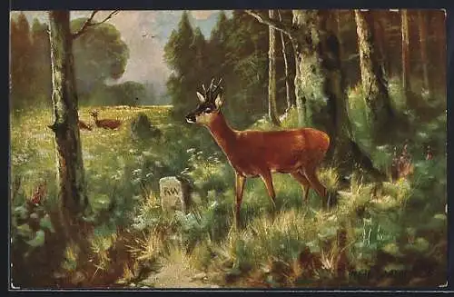 Künstler-AK Drei Rehe am Waldrand