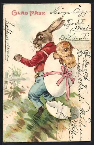 AK Osterhase mit Osterküken im Ei auf dem Rücken