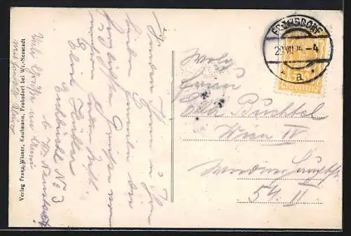 AK Frohsdorf /N.-Ö., Ortsansicht aus der Vogelschau