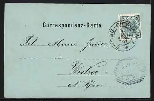 AK Gross-Siegharts, Schloss mit Kaiser Josef-Denkmal, Hauptplatz, Karlsteinerstrasse