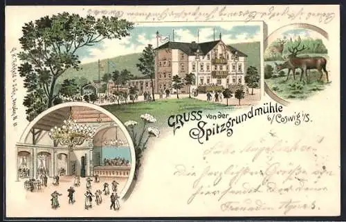 Lithographie Coswig /Sachsen, Gasthof Spitzgrundmühle, Aussenansicht und Innenansicht, Damwild