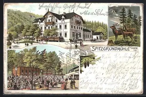 Lithographie Coswig i. S., Gasthaus Spitzgrundmühle, Rotwild bei Nacht