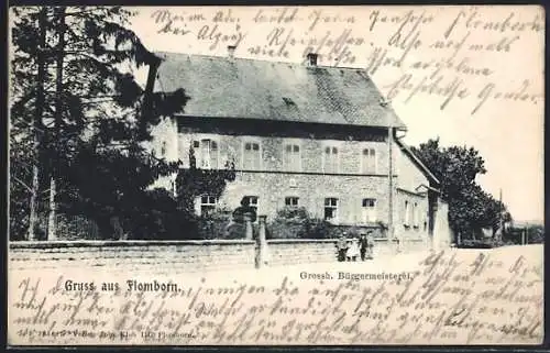 AK Flomborn, Strassenpartie an der Grossh. Bürgermeisterei