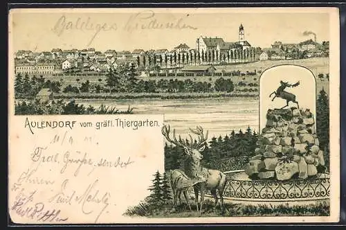 Lithographie Aulendorf, Ortsansicht vom gräfl. Thiergarten