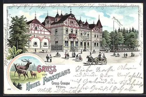 Lithographie Gross-Graupa b. Pillnitz, Hotel Forsthaus, Hirsche