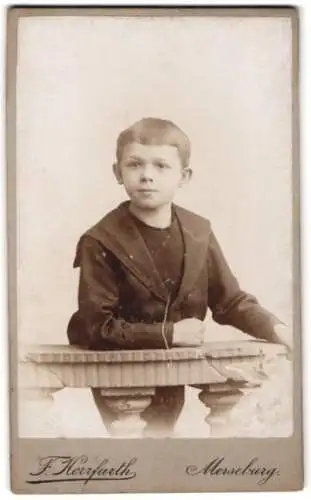 Fotografie F. Herrfurth, Merseburg, Brühl 4, Porträt eines kleinen Jungen