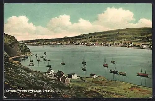 AK Gupids /Newfoundland, General view with fishing vessels in harbour