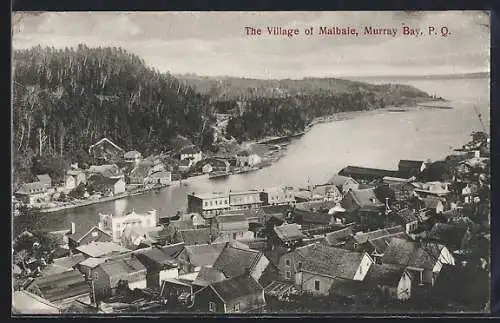 AK Malbaie /Murray Bay, The Village of Malbaie, Bird`s eye view