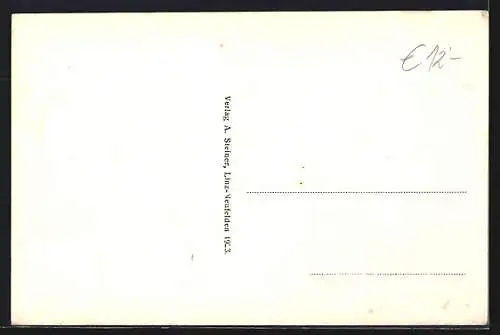 AK Neufelden, Gasthaus mit Strassenpartie