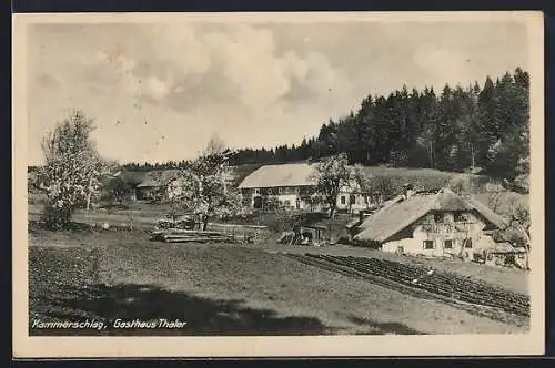 AK Lichtenberg /O.-Oe., Kammerschlag, Gasthaus Thaler am Waldrand