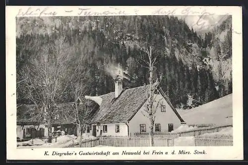 AK Frein a. d. Mürz, K. Diegrubers Gasthaus am Neuwald, Ansicht im Winter