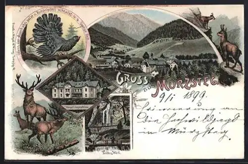 Lithographie Mürzsteg, Todtes Weib, Kaiserl. Jagdschloss, Ortsansicht, Auerhahn, Hirsche, Gemsen
