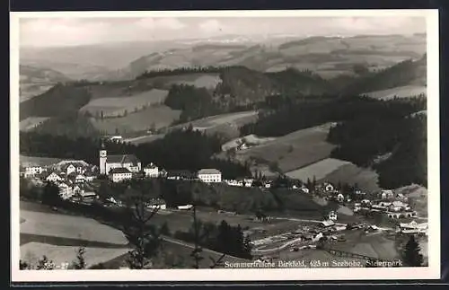 AK Birkfeld, Ortschaft und Talansicht von oben