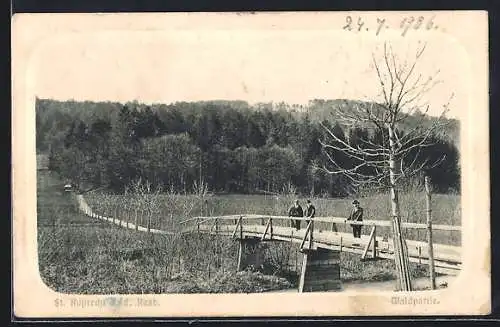 AK St. Ruprecht /Raab, Waldpartie mit Brücke