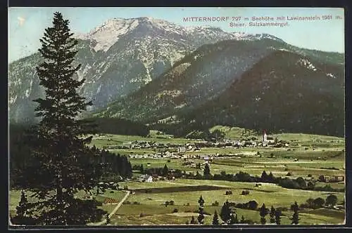AK Mitterndorf /Salzkammergut, Totalansicht mit Lawinenstein