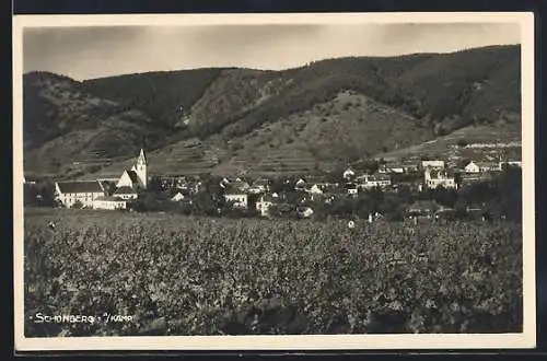 AK Schönberg a. Kamp, Ortspanorama von einem Feld aus