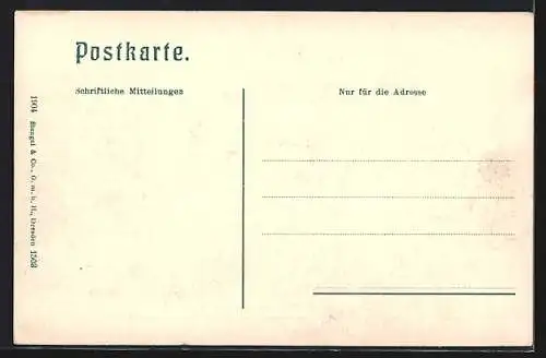 AK Innsbruck, Partie an der Triumphpforte