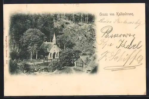 AK Leoben, Kaltenbrunn, Waldpartie mit Kapelle