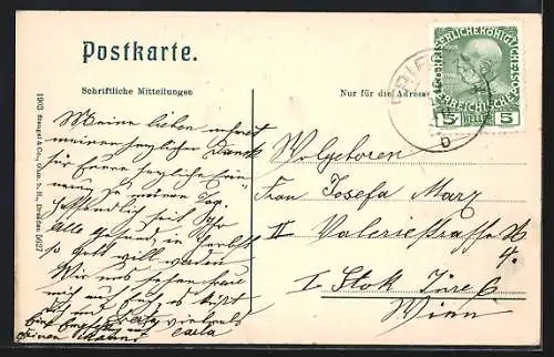 AK Friesach i. Kärnten, Teilansicht mit Petersberg