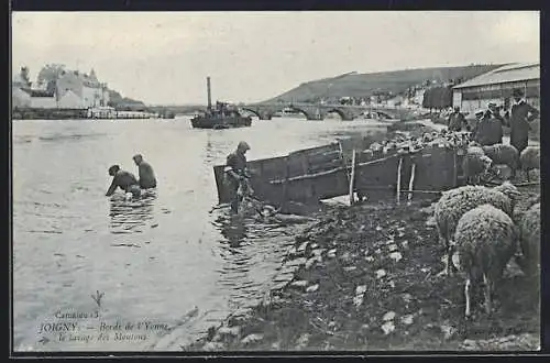 AK Joigny, Bords de l`Yonne, le lavage des Moutons