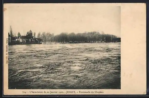 AK Joigny, L`Inondation du 22 Janvier 1910, Promenade du Chapeau